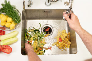 food waste disposer for home